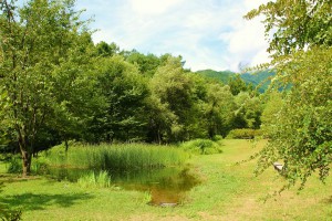 水辺の風景 キーワード 安曇野ロケーションガイド